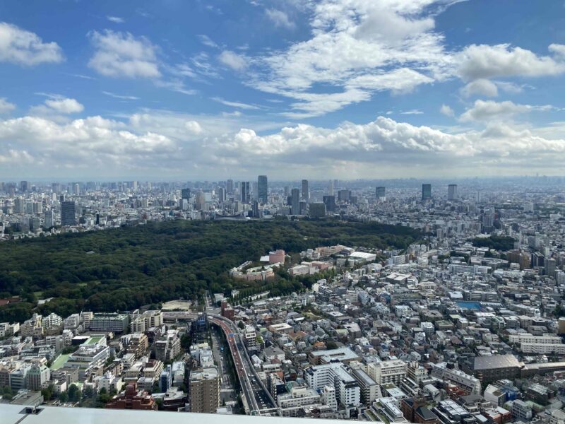 パークハイアット東京「ニューヨークグリル」窓からの景色①