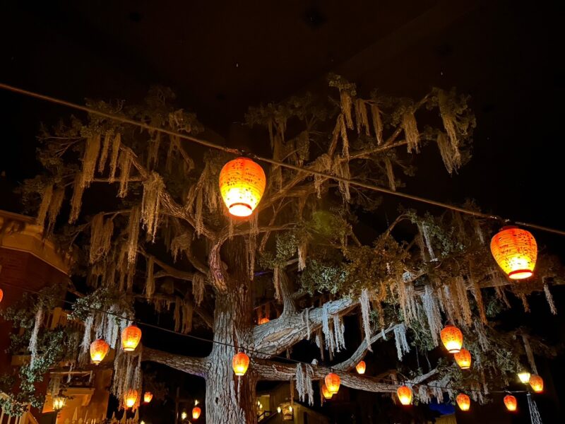 東京ディズニーランド「ブルーバイユーレストラン」の決闘の木